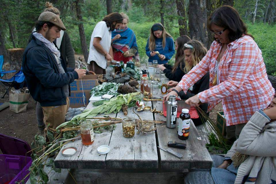 Herbal Foundations - the first year of herb school offers medicine making in the forest