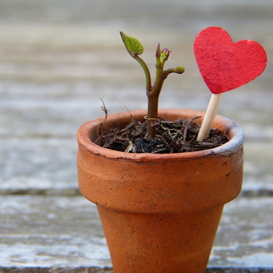 earth day heart opening