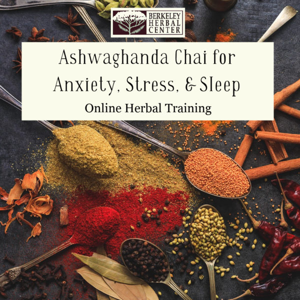 Ashwaghanda Chai For Anxiety Class
