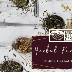 Herbal First Aid Class with Dana Aronson