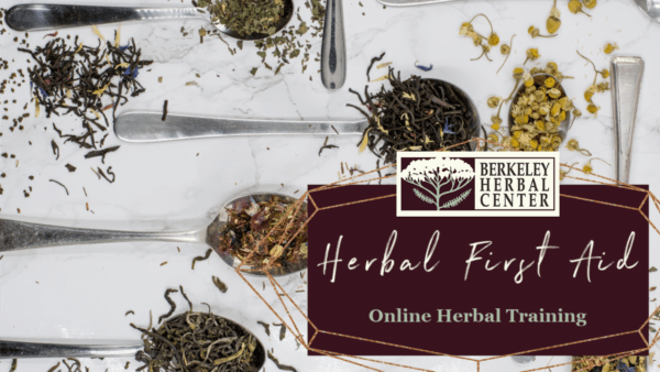 Herbal First Aid Class with Dana Aronson