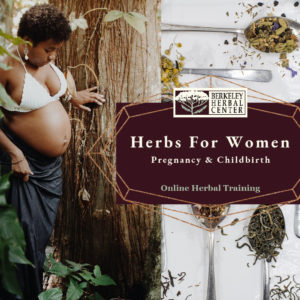 Herbs For Women - Pregnancy & Childbirth