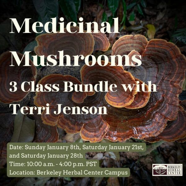Medicinal Mushrooms - 3 Class Bundle