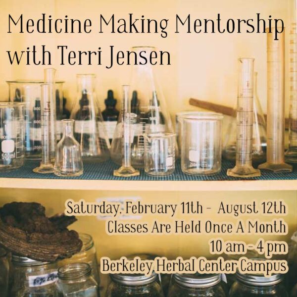 Medicine Making Mentorship with Terri Jensen