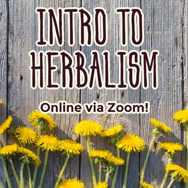 An Introduction to Herbalism - Online
