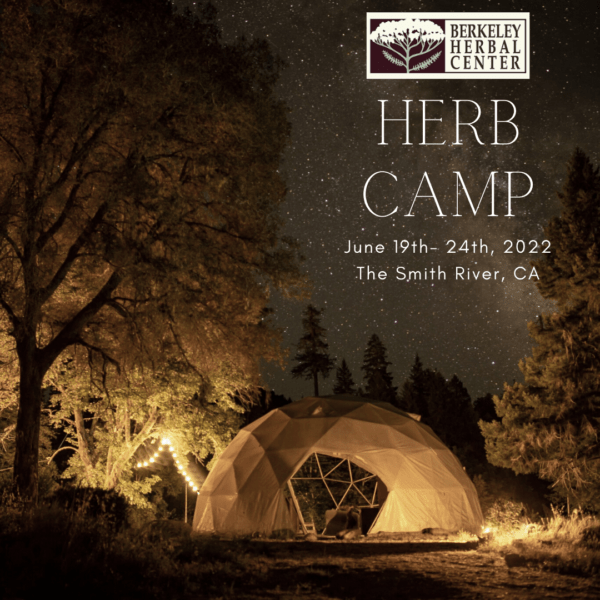Herb Camp - Immersive & Hands-on Herbal Medicine Making