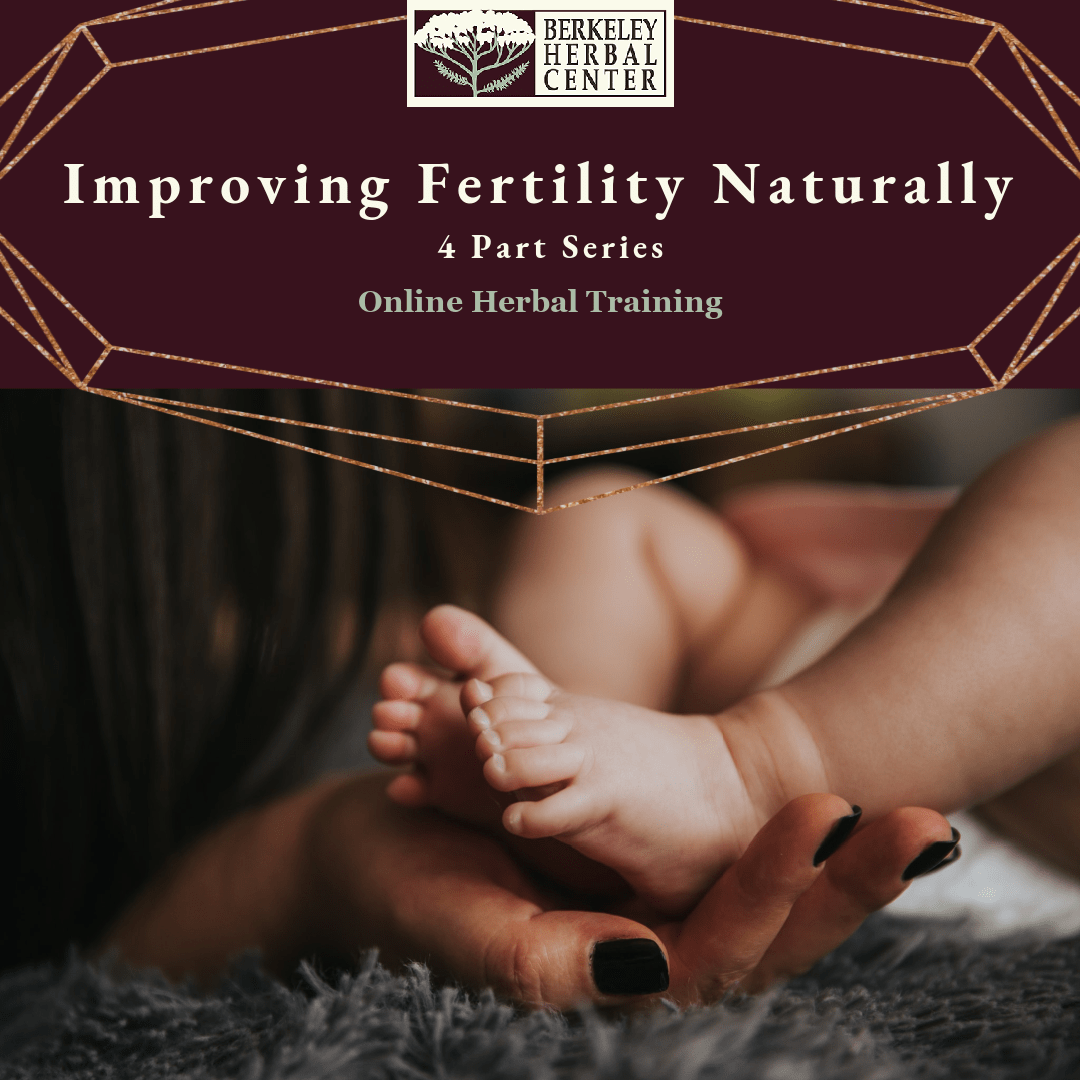 Improving Fertility Naturally