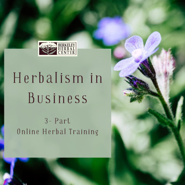 Herbalism in Business with Kerry Hughes