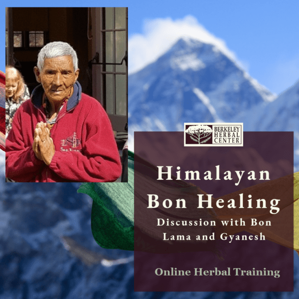 Himalayan Bon Traditional Healing
