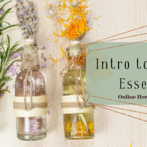 Introduction to Flower Essences with Amanda Narin