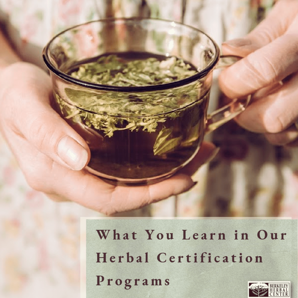 What you learn in herbal school
