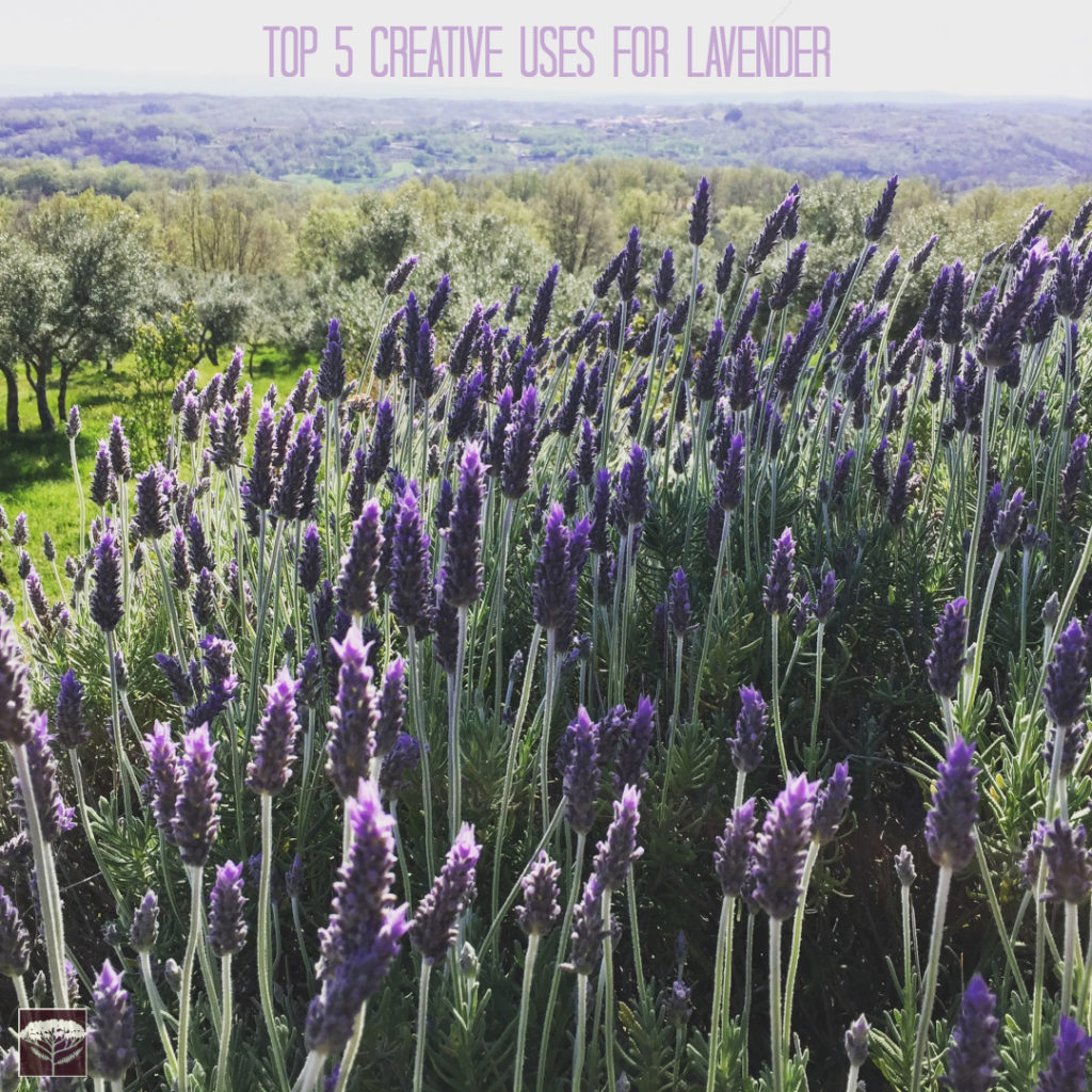 Creative uses for Lavender