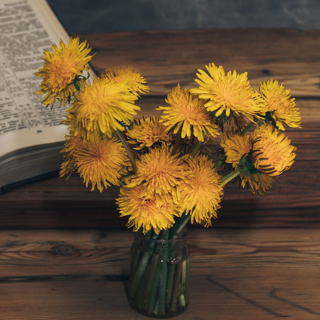 A bouquet of dandelions in a glass jar on a wooden table