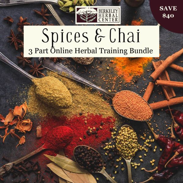 the How to Make Chai Bundle