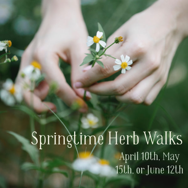 Herb Walk