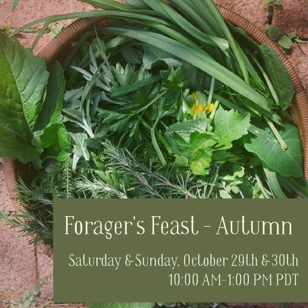 Wildcrafting Class - Forager's Feast Autumn