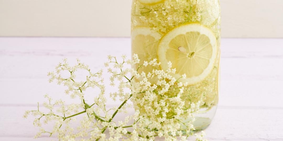 Herbs Uncovered: Elder (Plus an Elderflower Syrup Recipe)