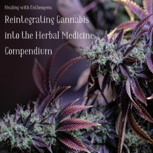 Healing with Entheogens: Reintegrating Cannabis into the Herbal Medicine Compendium