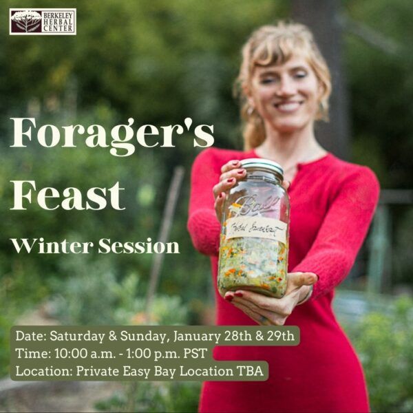 Foraging Class