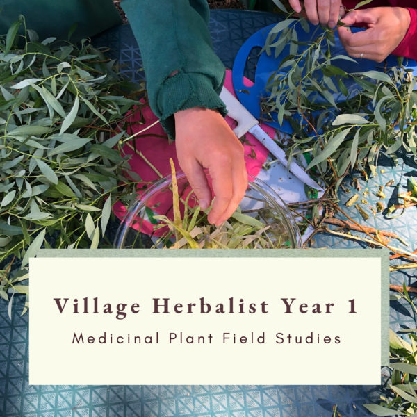 Village Herbalist 1: Medicinal Plant Field Studies