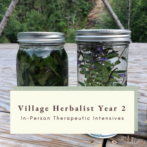 Village Herbalist 2: In-Person Therapeutic Intensives