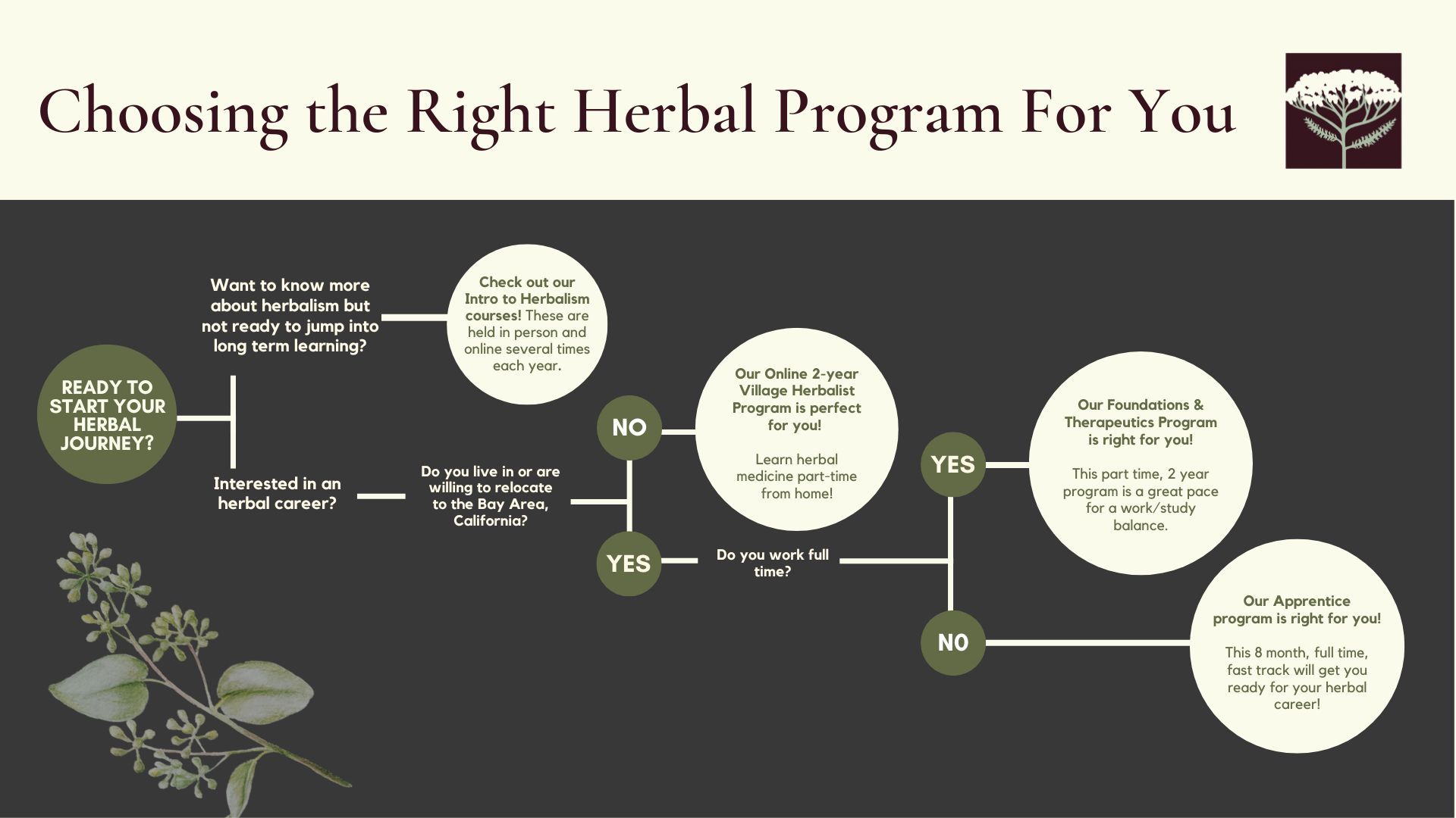 FlowChart of how to choose the right BHC program.