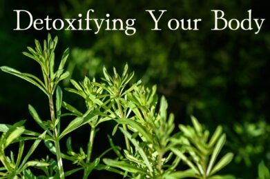 Herbs for Detoxifying from Berkeley Herbal Center