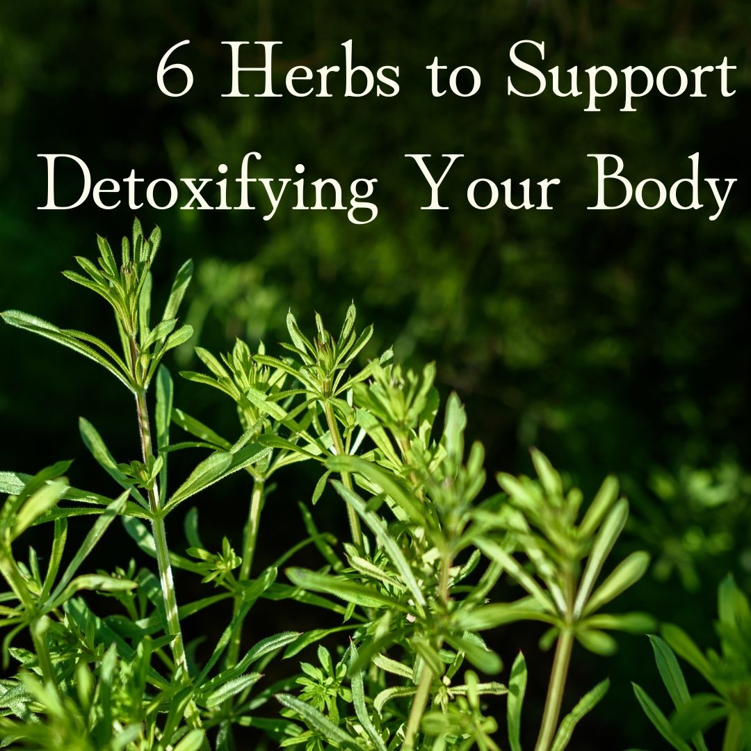 Herbs for Detoxifying from Berkeley Herbal Center