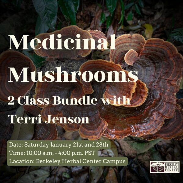 Medicinal Mushrooms - 2 Class Bundle