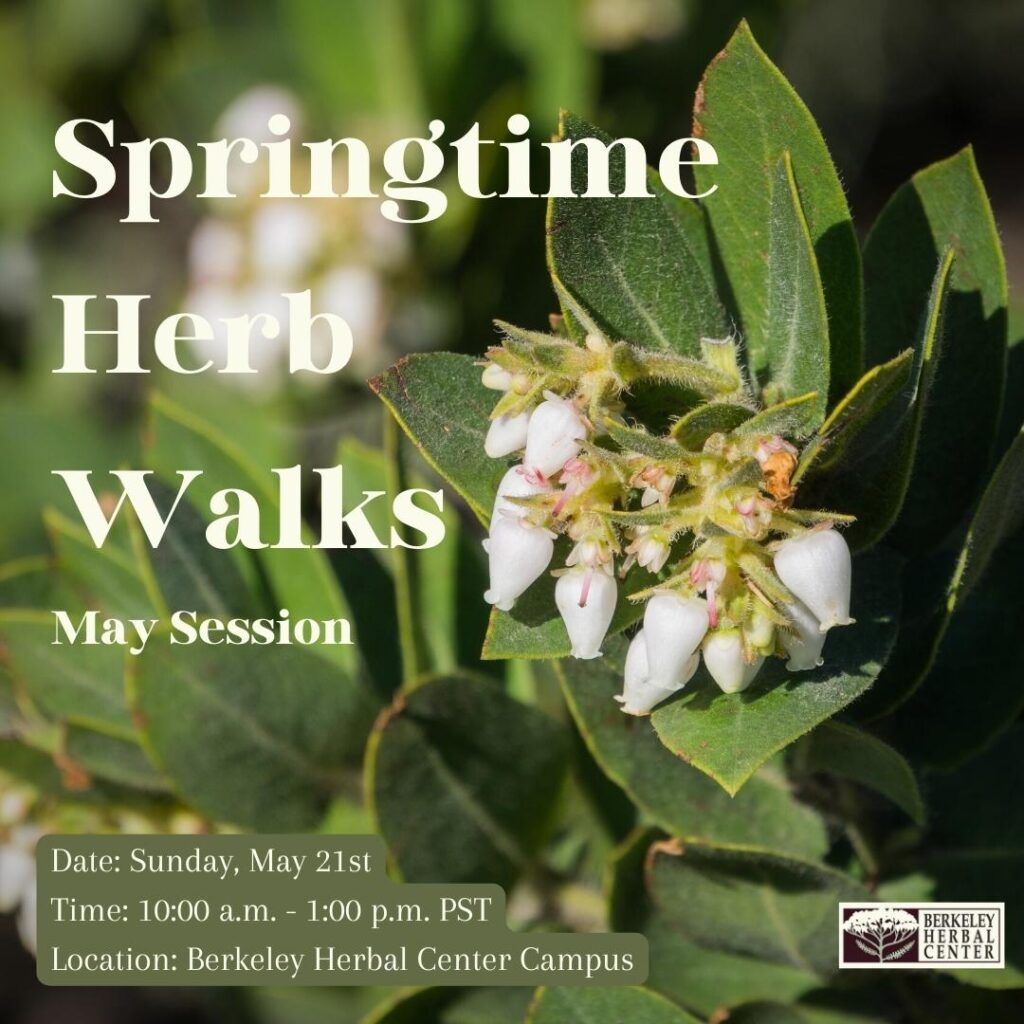 California Native Wildflowers with title: Springtime Herb Walks - May Session