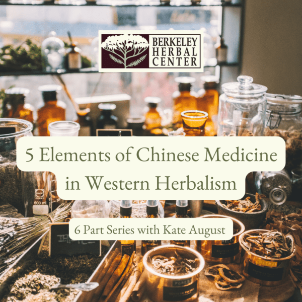 5 Elements of Chinese Medicine in Western Herbalism