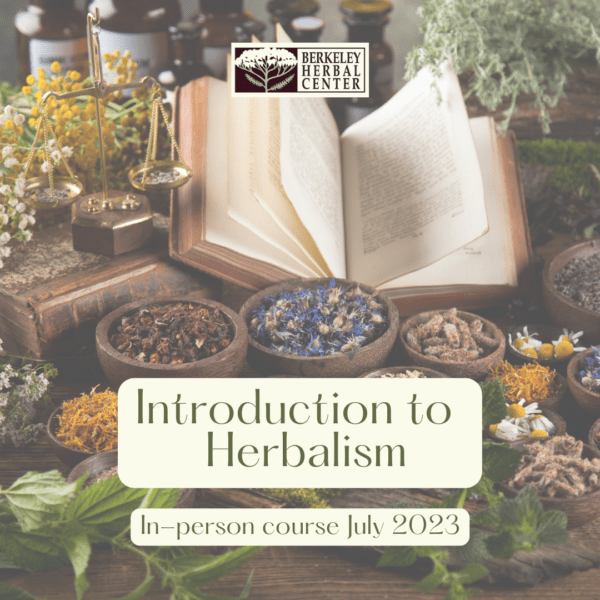 Introduction to Herbalism - July 2023