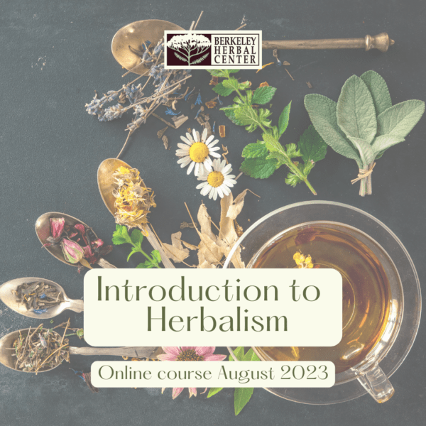 Online Introduction to Herbalism - August 2023