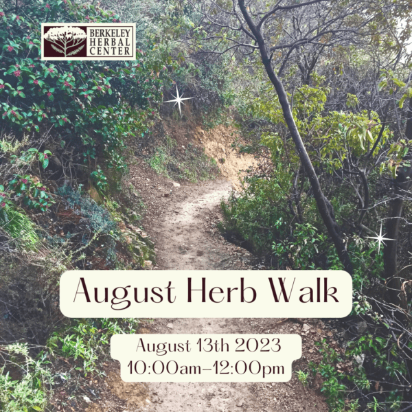 Summertime Herb Walks - August