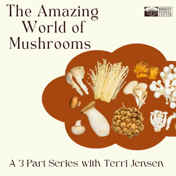 The Amazing World of Mushrooms