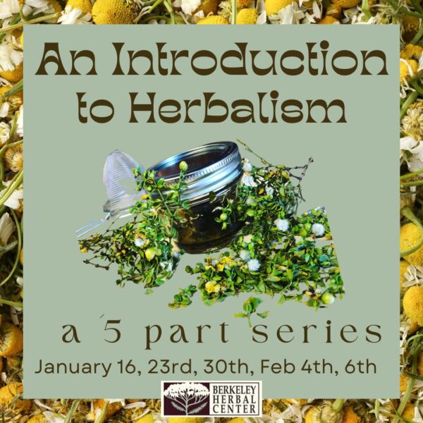 An Introduction to Herbalism
