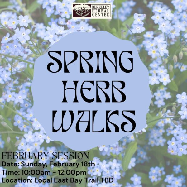 Spring Herb Walk - February Session