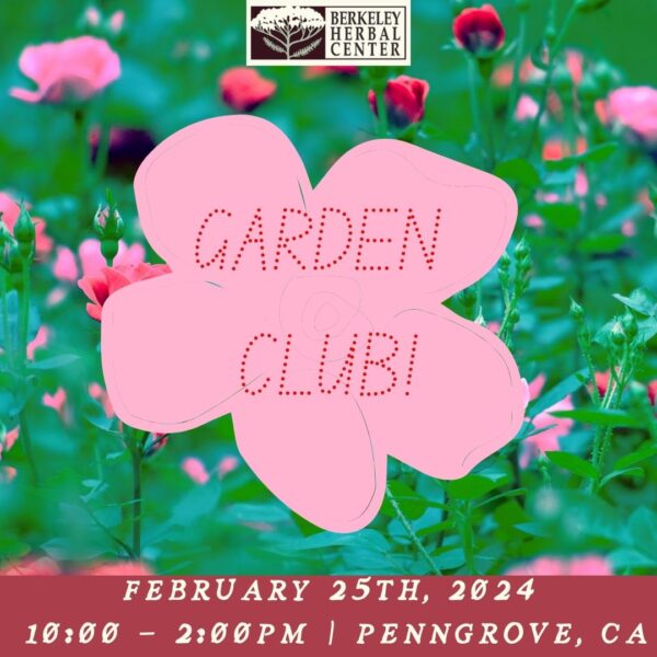 Garden Club: February Session
