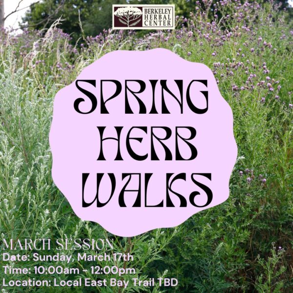 Spring Herb Walk - March Session