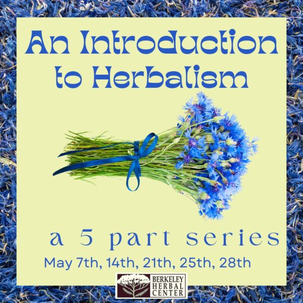 An Introduction to Herbalism