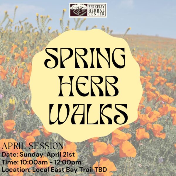 Spring Herb Walk  - April Session