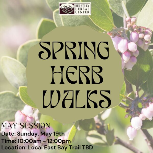 Spring Herb Walk – May Session