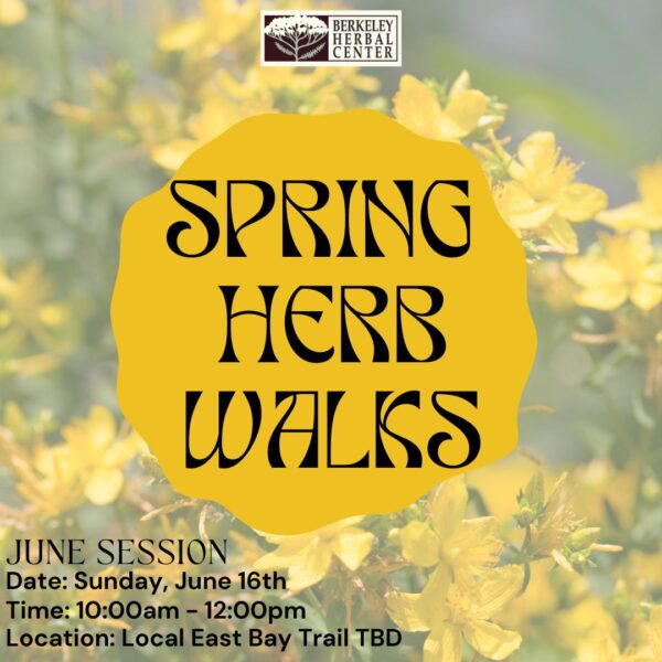 Spring Herb Walk – June Session