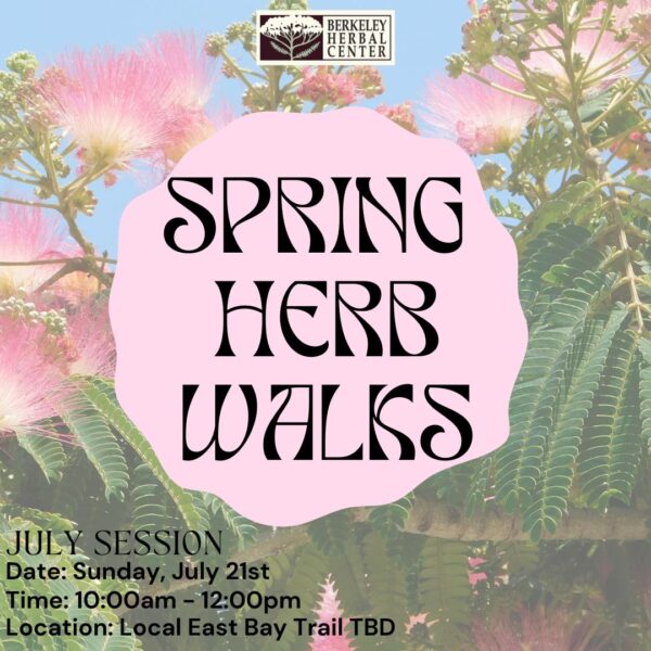 Spring Herb Walk – July Session
