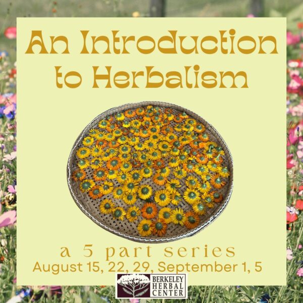 An Introduction to Herbalism