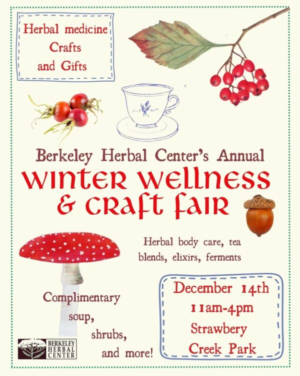 Winter Wellness & Craft Fair