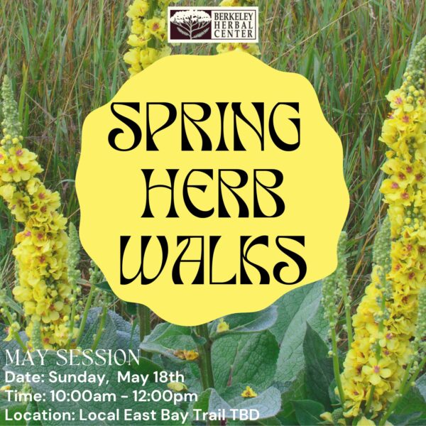 Spring Herb Walk – May Session