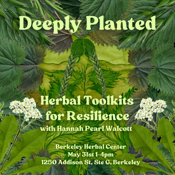 Deeply Planted: Herbal Toolkits for Resilience with Hannah Pearl Walcott