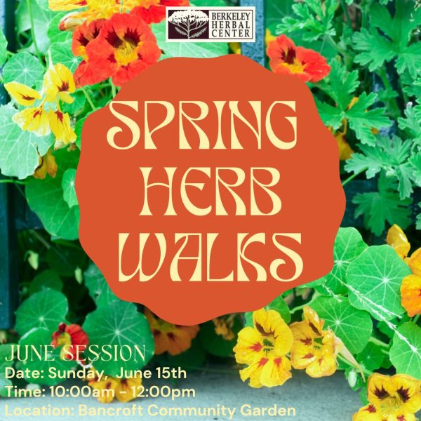 Spring Herb Walk - June Session