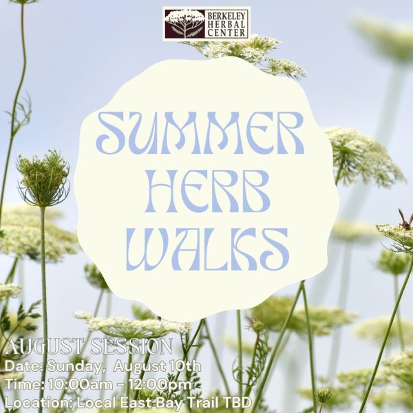 Summer Herb Walk - August Session